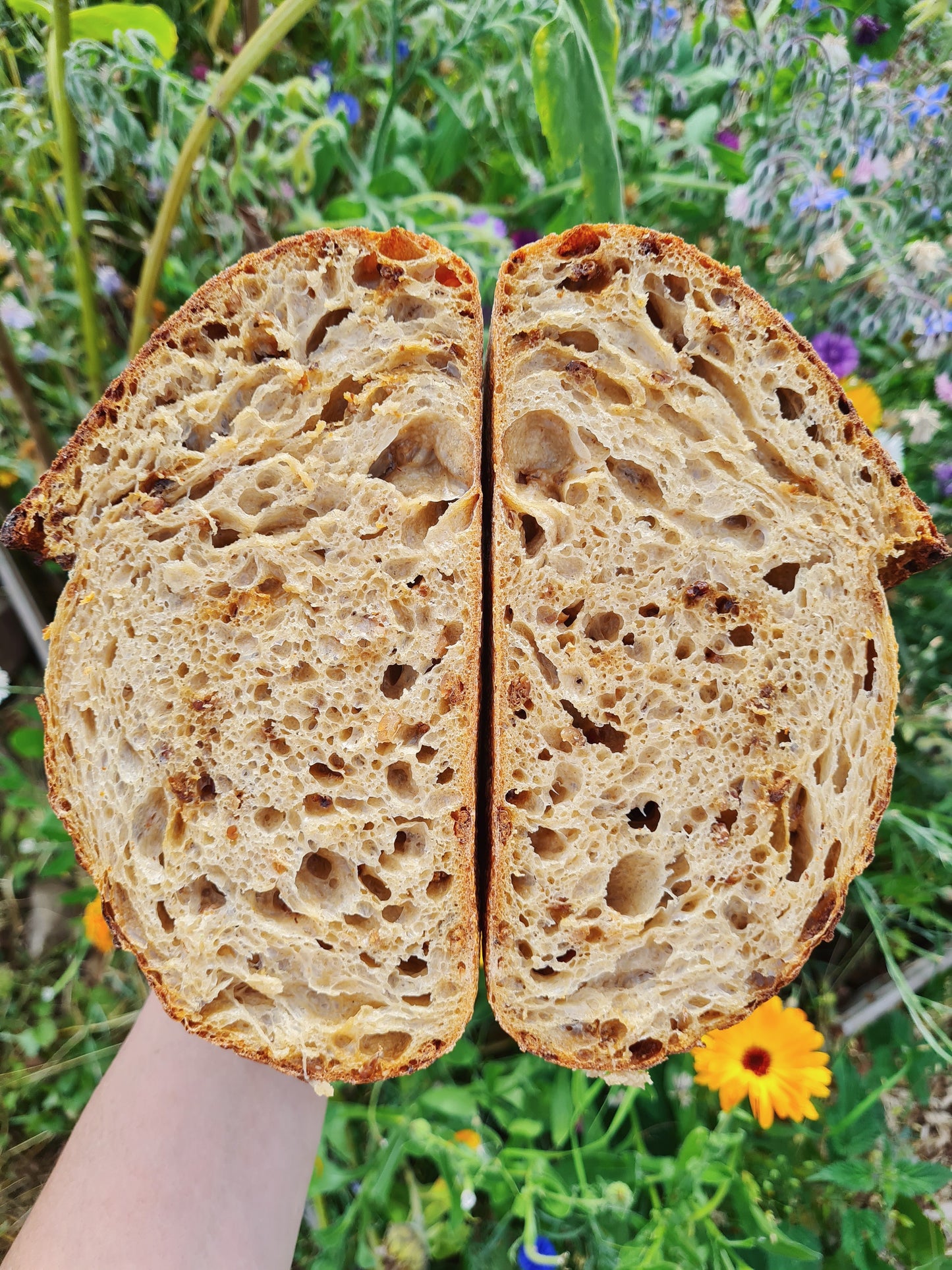 Cotswold Crunch Sourdough