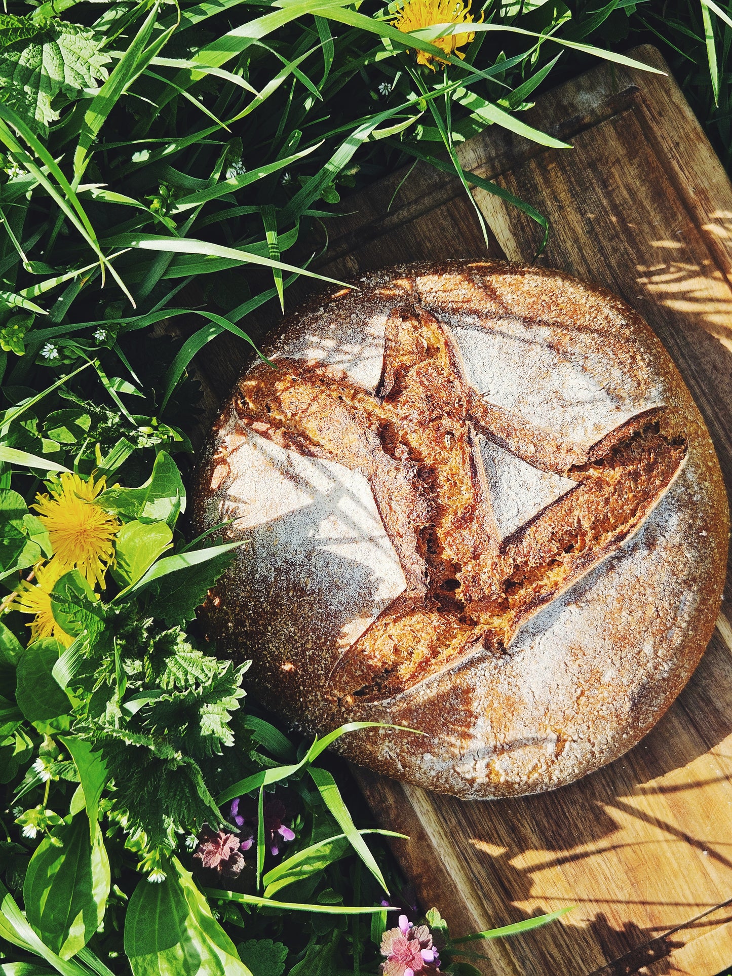 Organic Wholemeal Sourdough