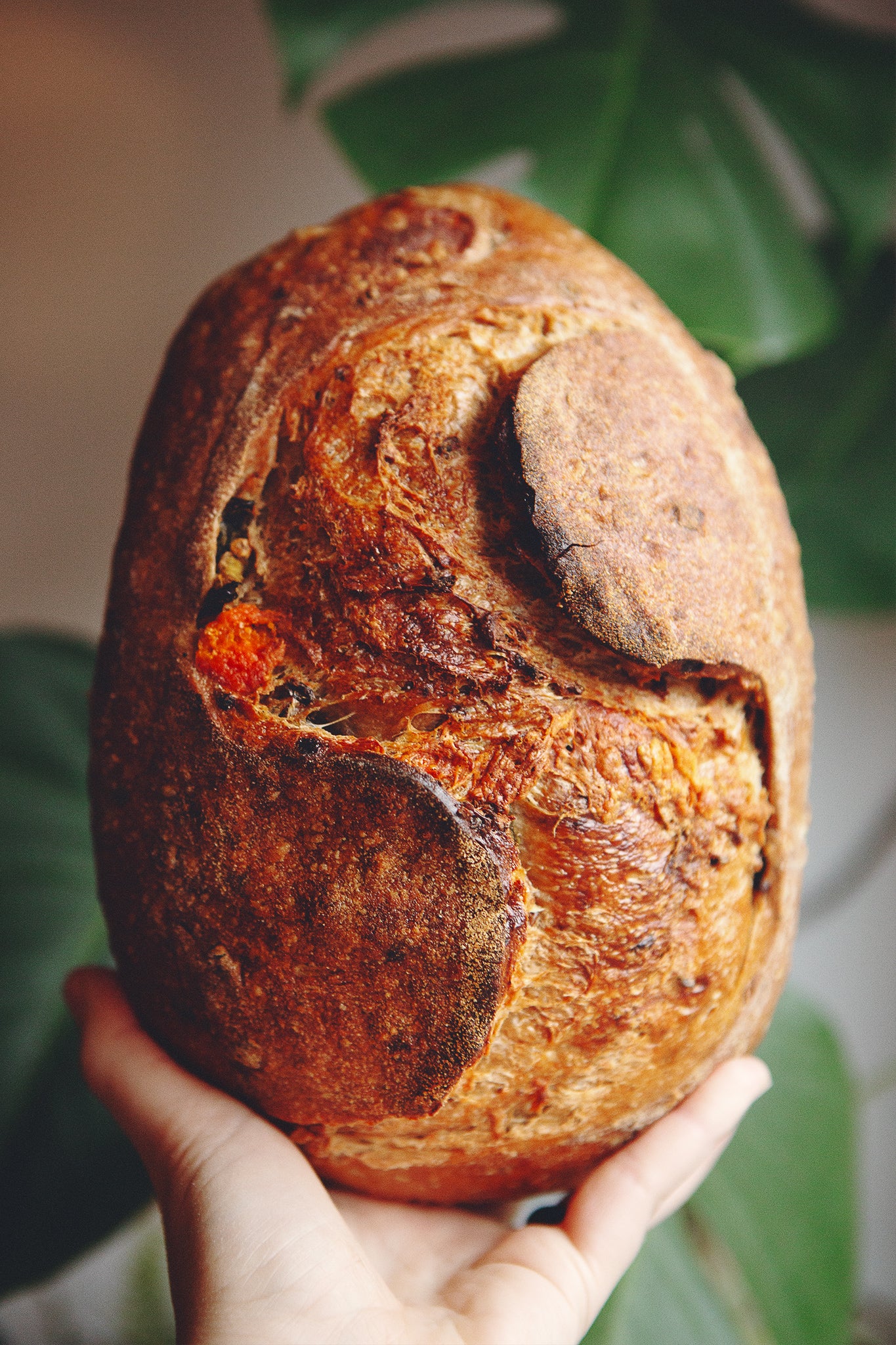 Cotswold Crunch Jalapeño&Red Leicester Sourdough