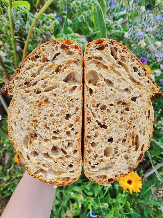 Cotswold Crunch Sourdough
