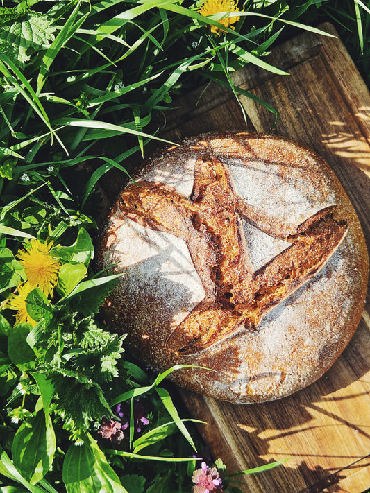 Organic Wholemeal Sourdough