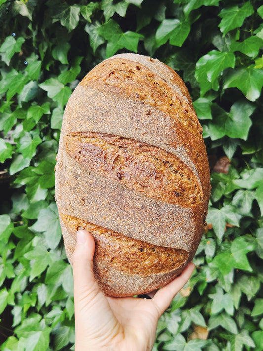 Organic Brown Sourdough