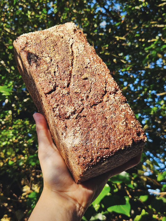 Organic Dark Rye