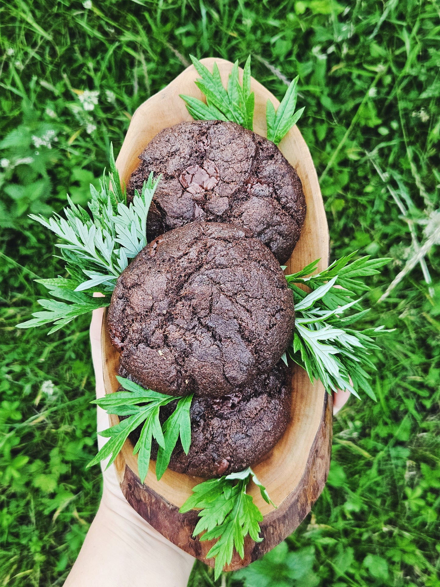 Mugwort Chocolate Cookies