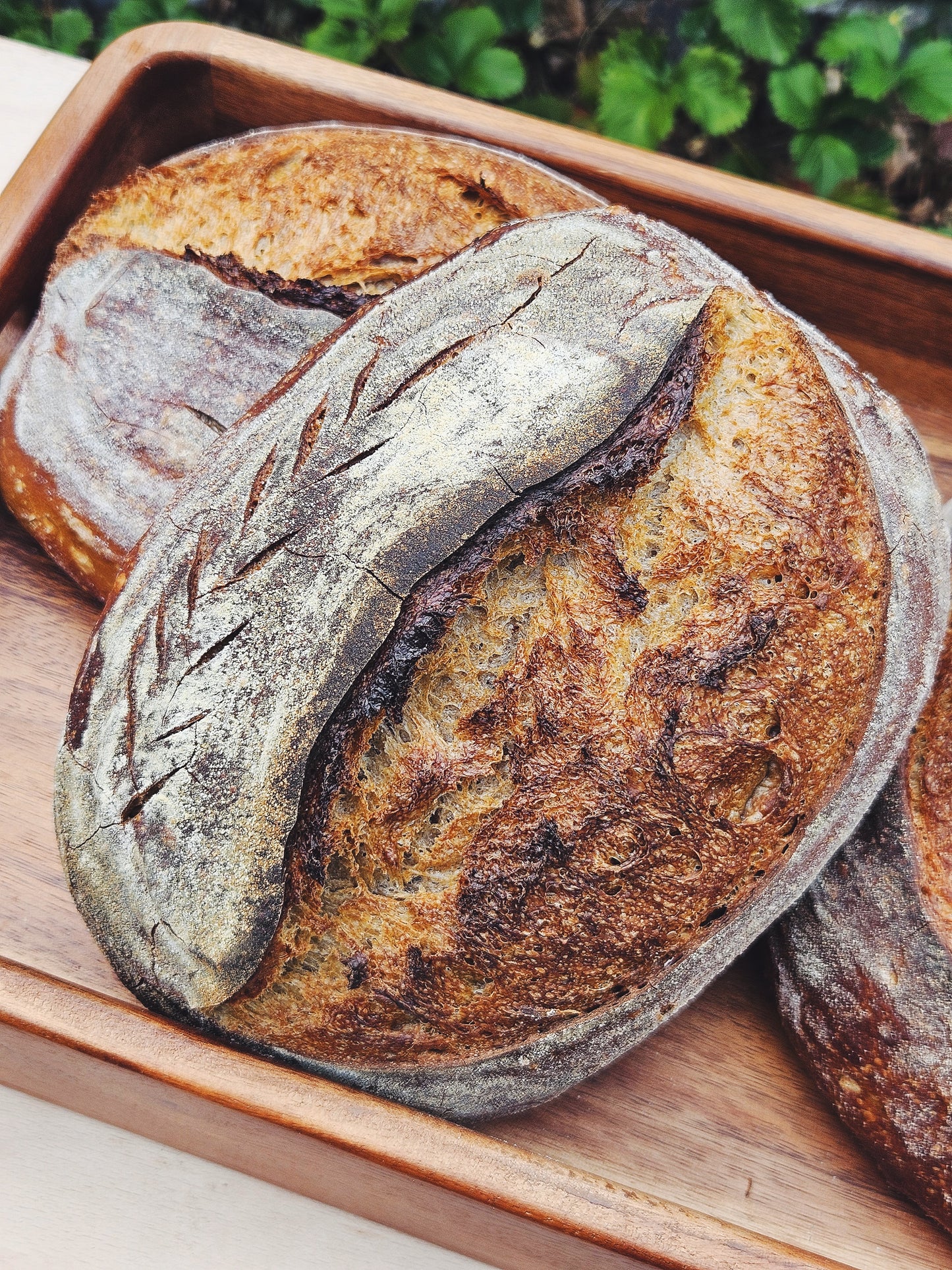 Stonegound White Sourdough (made with Bruern Farm Regeneratively grown flour)