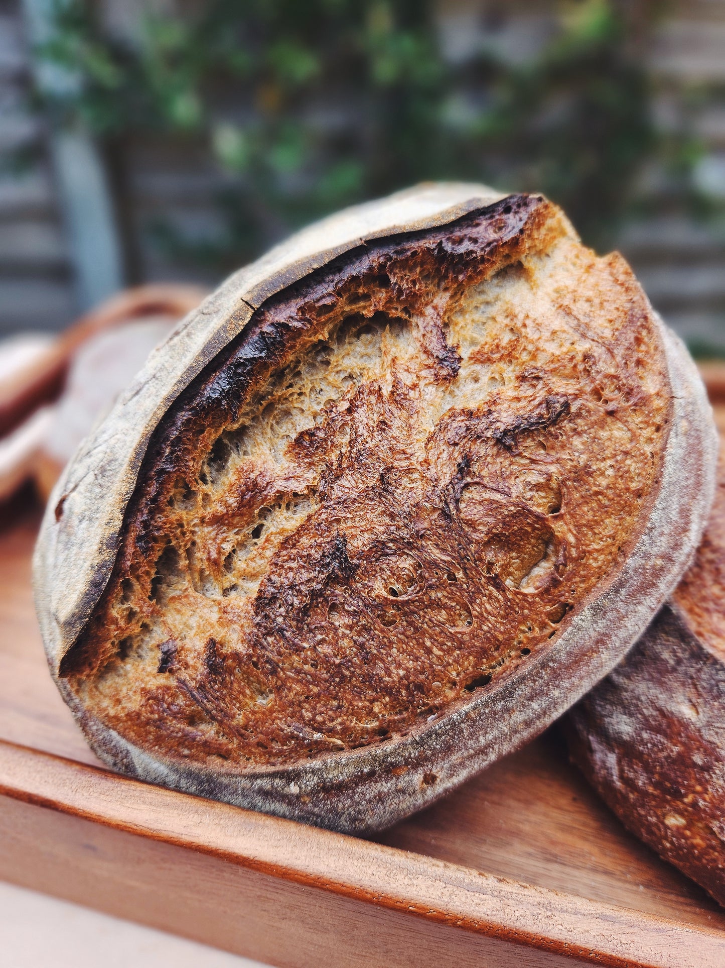 Stonegound White Sourdough (made with Bruern Farm Regeneratively grown flour)