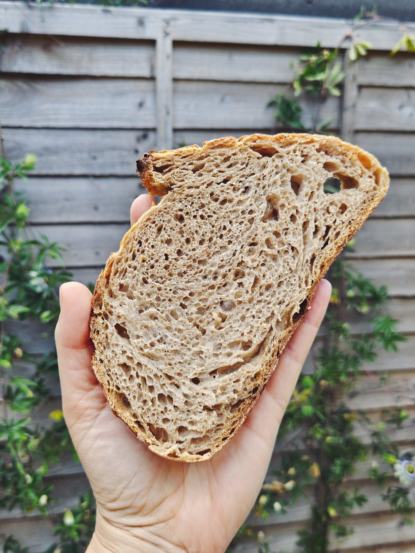 Stonegound White Sourdough (made with Bruern Farm Regeneratively grown flour)