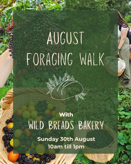 Foraging Walk 30th August 2026