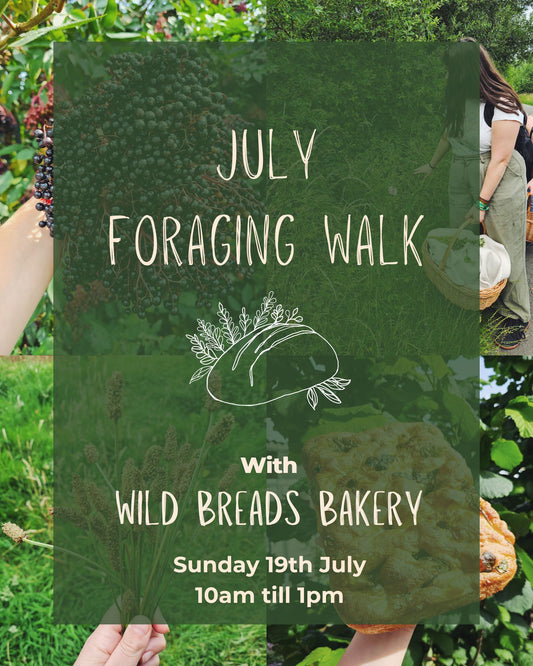 Foraging Walk 19th July 2026