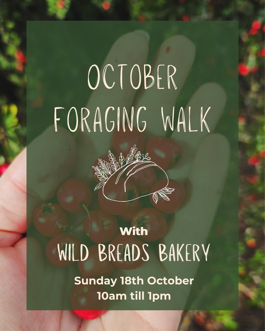 Foraging Walk 18th October 2026