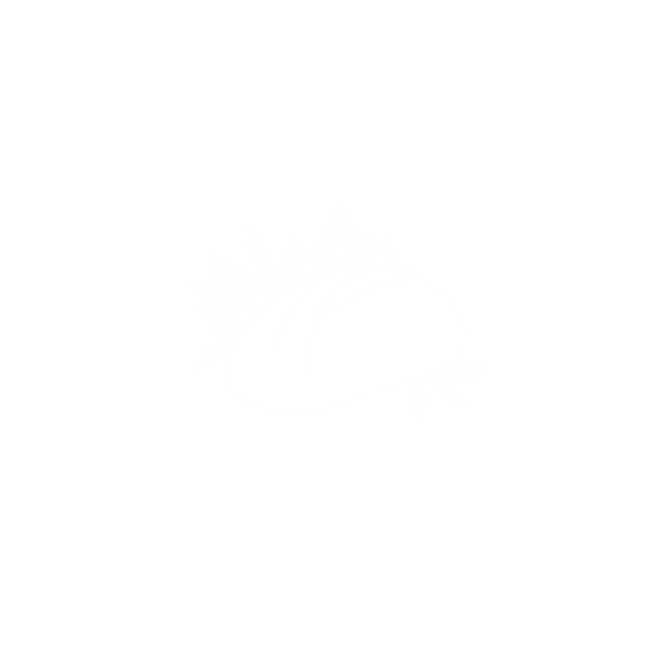 Wild Breads Bakery